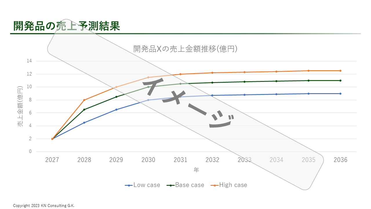 KN Consulting - KNC - アウトプット - 事業性評価